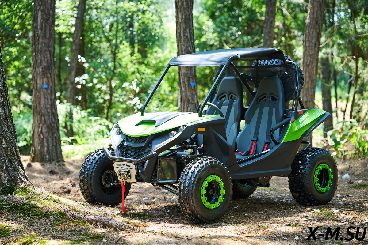 Багги UTV PROMAX Ranger 250 EFI Багги UTV PROMAX Ranger 250 EFI