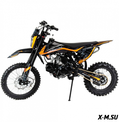 Питбайк MOTOLAND (МОТОЛЕНД) GF125 E