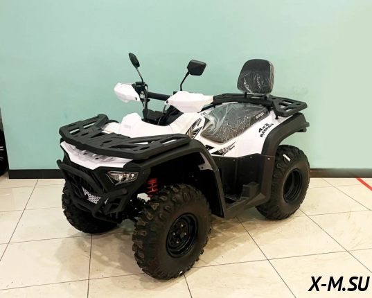 Квадроцикл BASHAN EXPLORER 300 BASIC