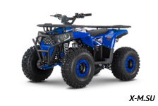 Квадроцикл WELS Trail 125