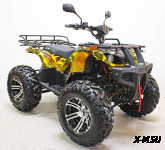 Квадроцикл GreenCamel Сахара A3000 (72V 3000W R12 alum Дифференциал)